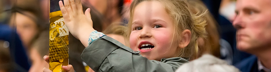 Limburg LIONS fans